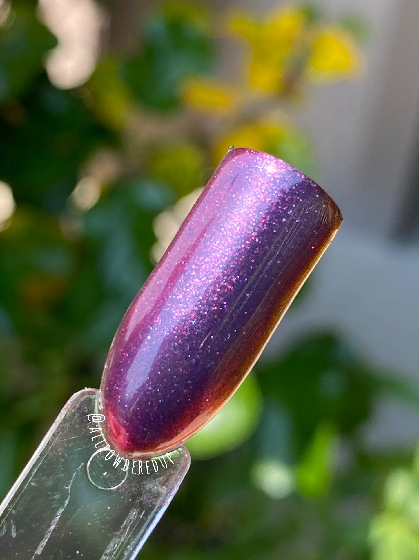 Black Cherry Chrome