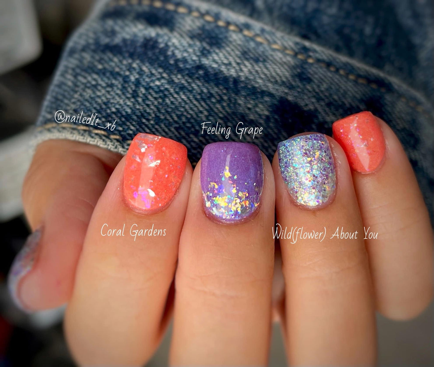Coral Gardens