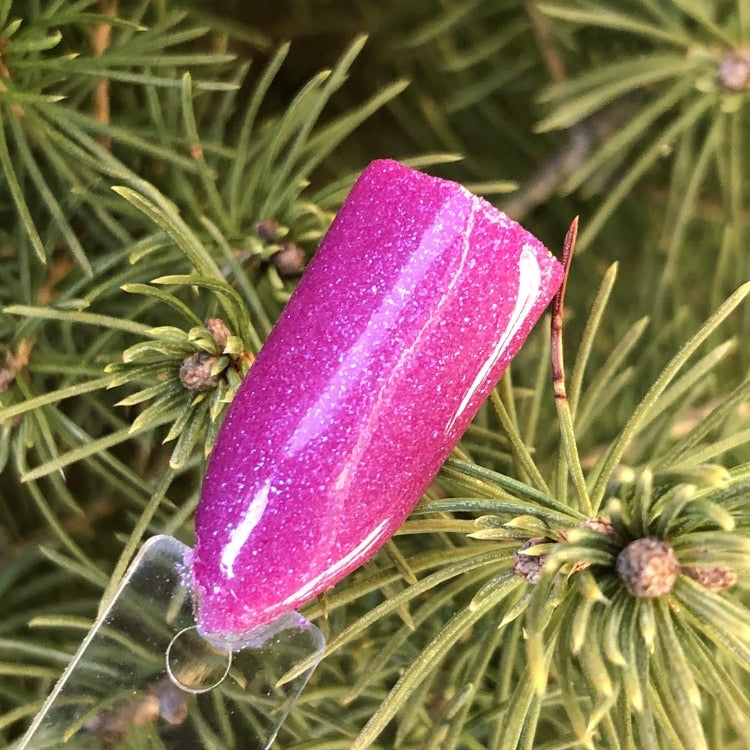 Back to the Fuchsia