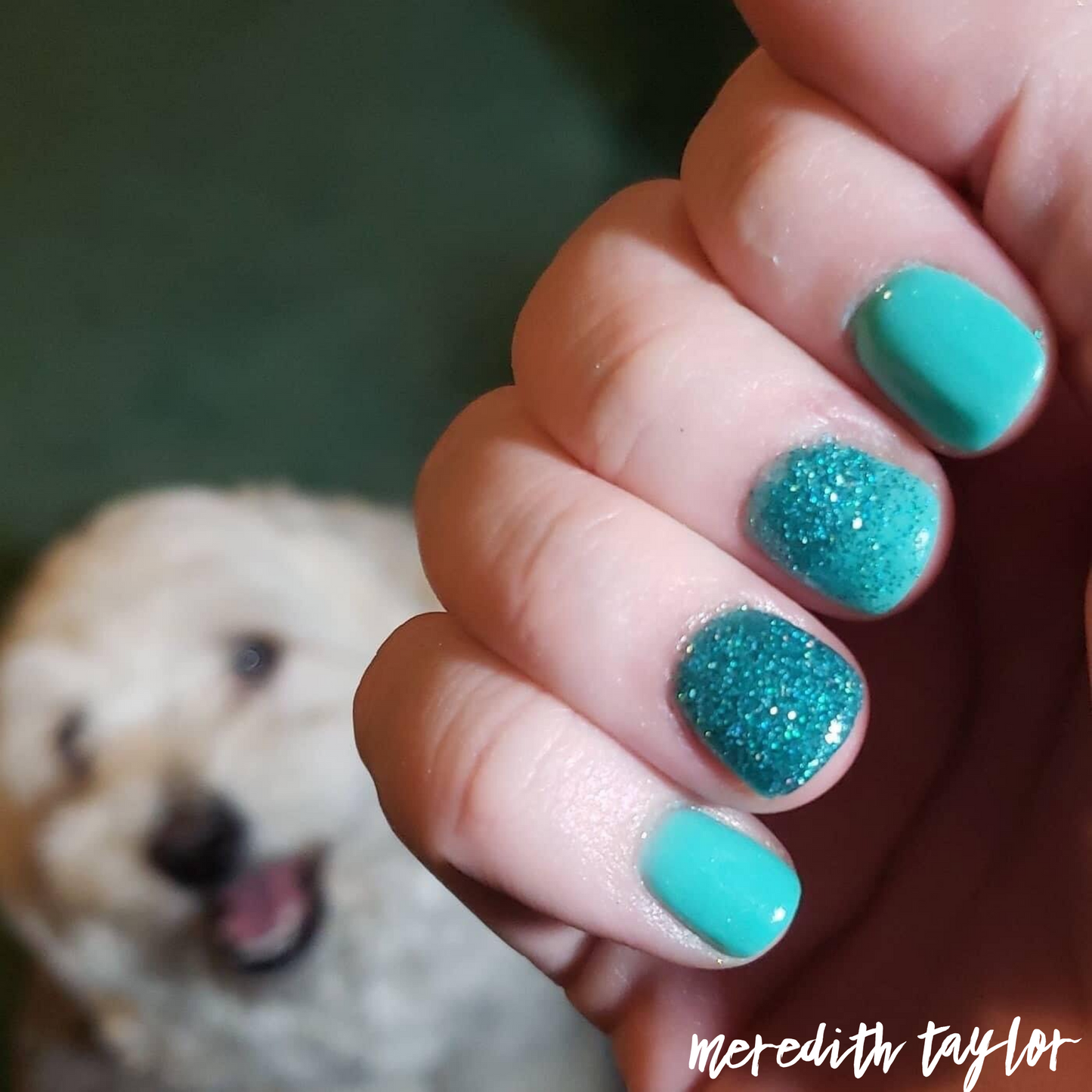Ocean Breeze