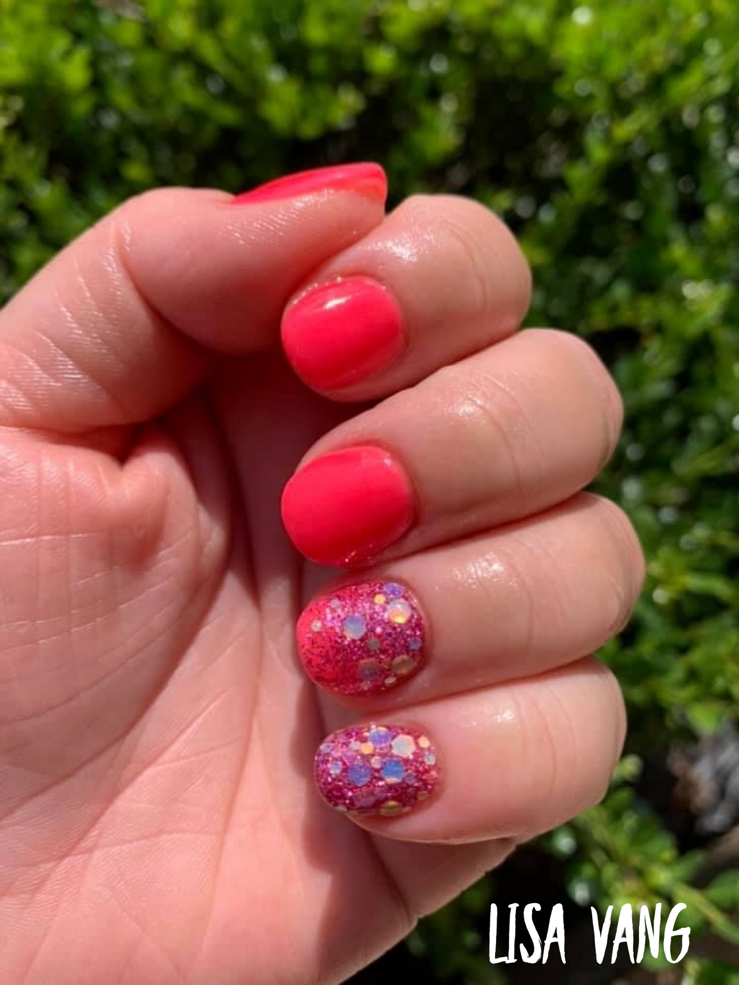 Flamingo
