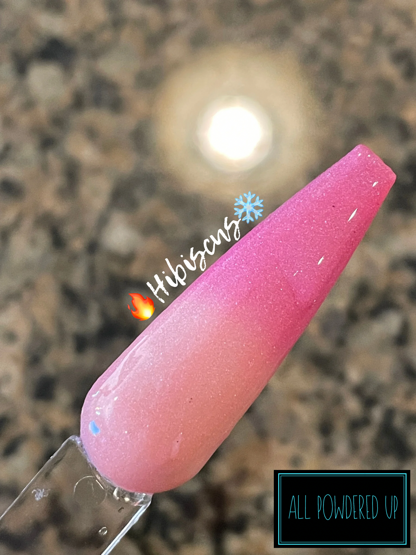 Hibiscus (Thermal)