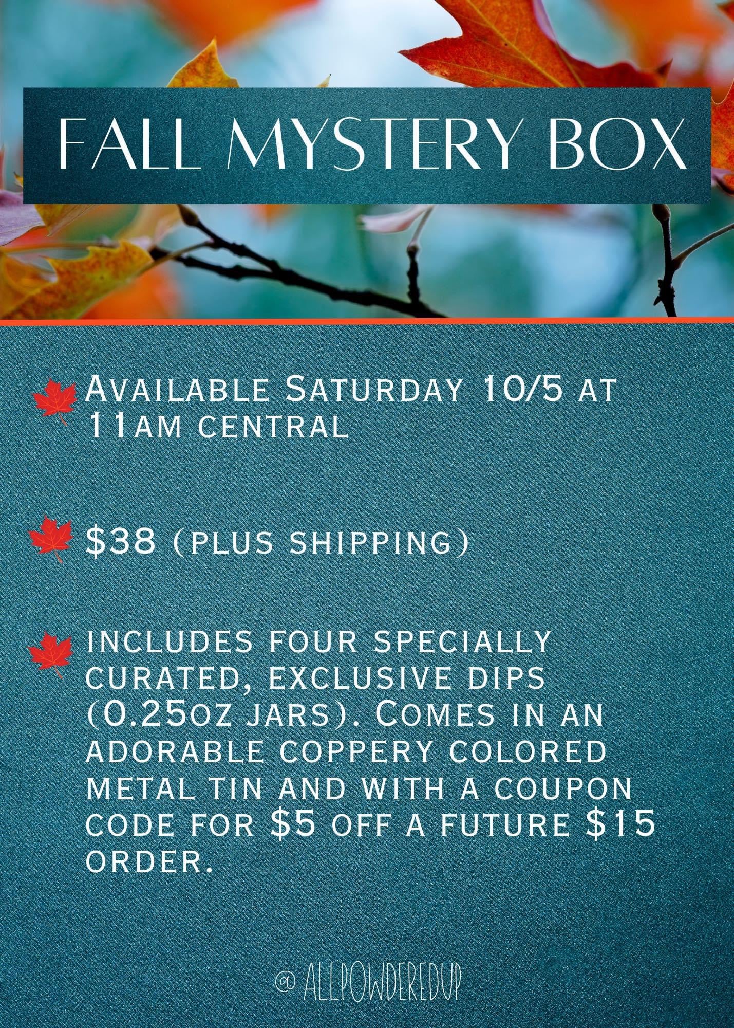 Fall 2024 Mystery Box